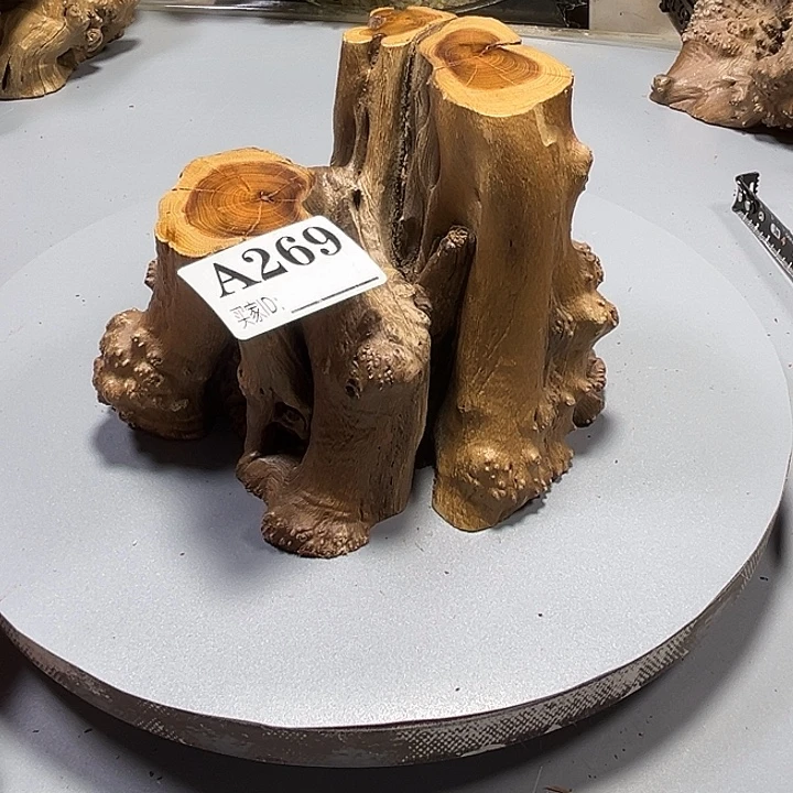 ∂***∯大果紫檀（缅甸花梨）