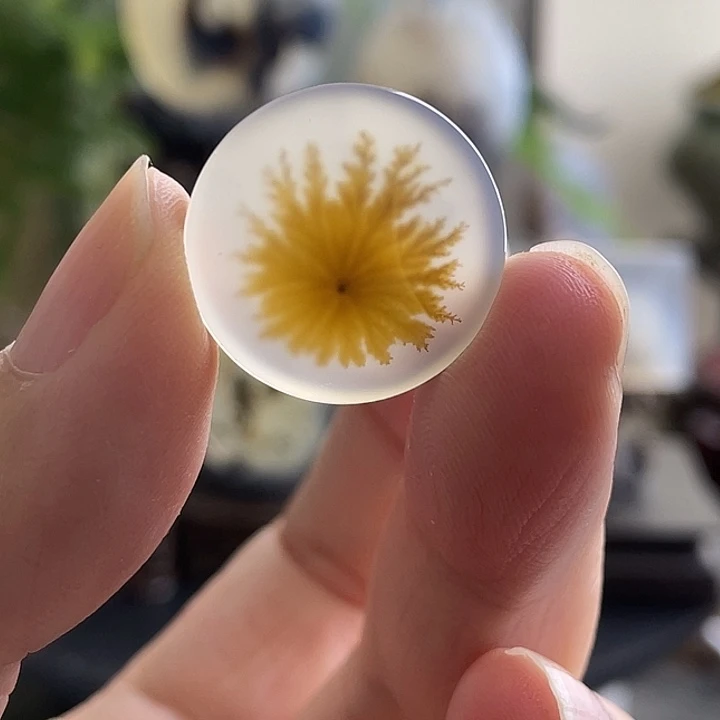 玛瑙/玉髓未镶嵌珠宝半成品