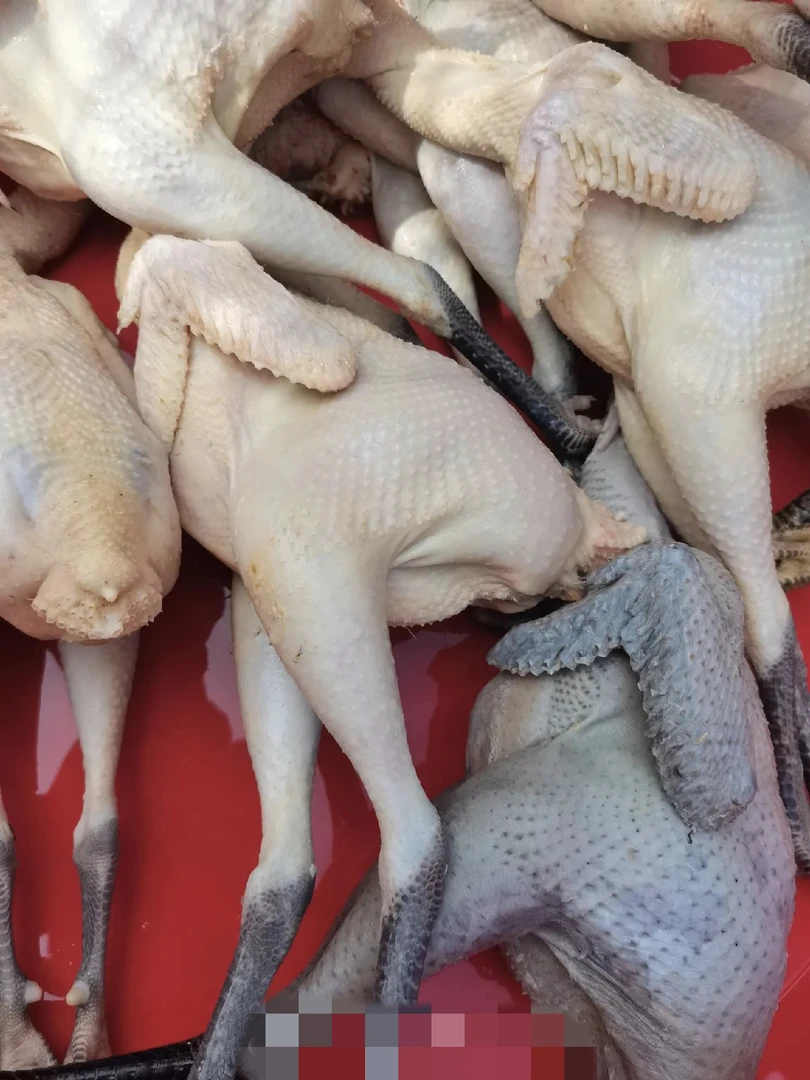 鹊山鸡整只鸡冷链配送