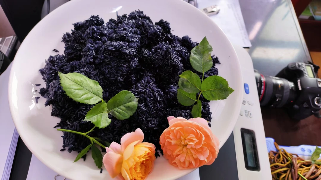 贵州黔东南锦屏农家乌米饭