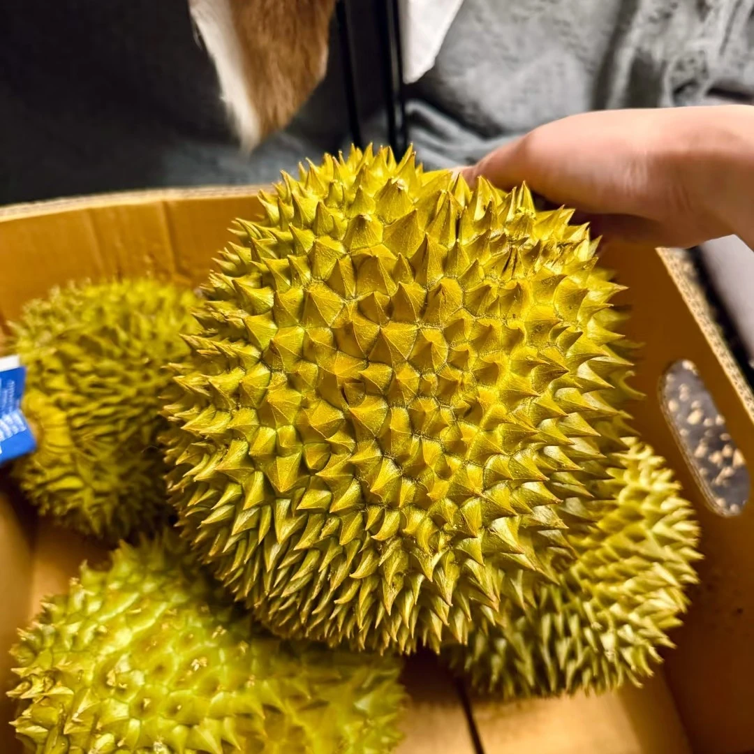 金枕新鲜榴莲净肉二斤以上(一物一拍)核小kg金枕泰国越南
