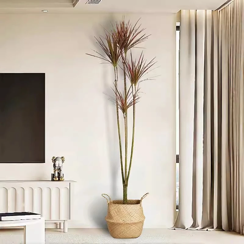 千年木客厅成品组合盆栽绿植七彩铁室内盆栽好养活吸甲醛净化空气