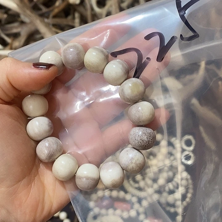 自***由无非金属鹿角鹿角