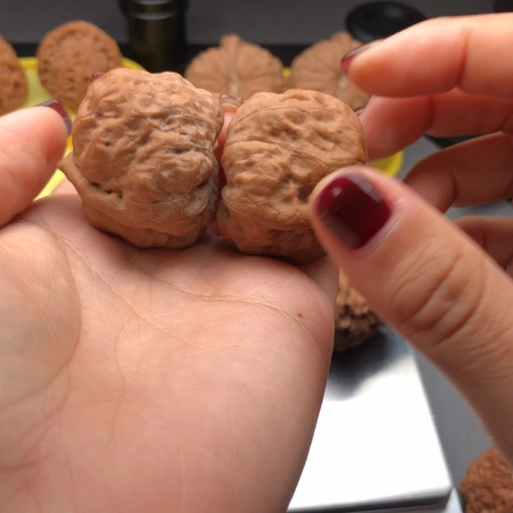 把件文玩核桃35古蝉