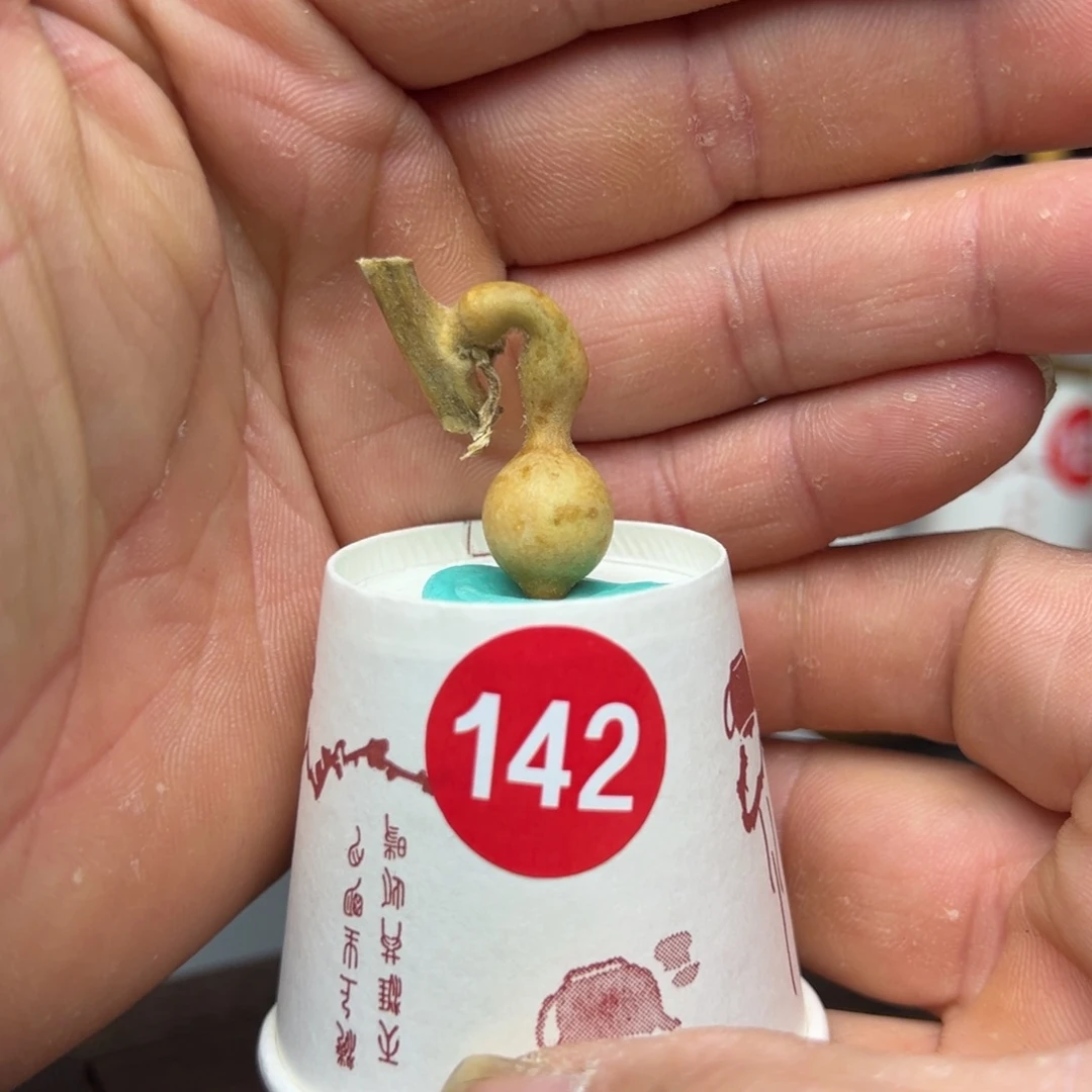 闪电购自助下单编号142