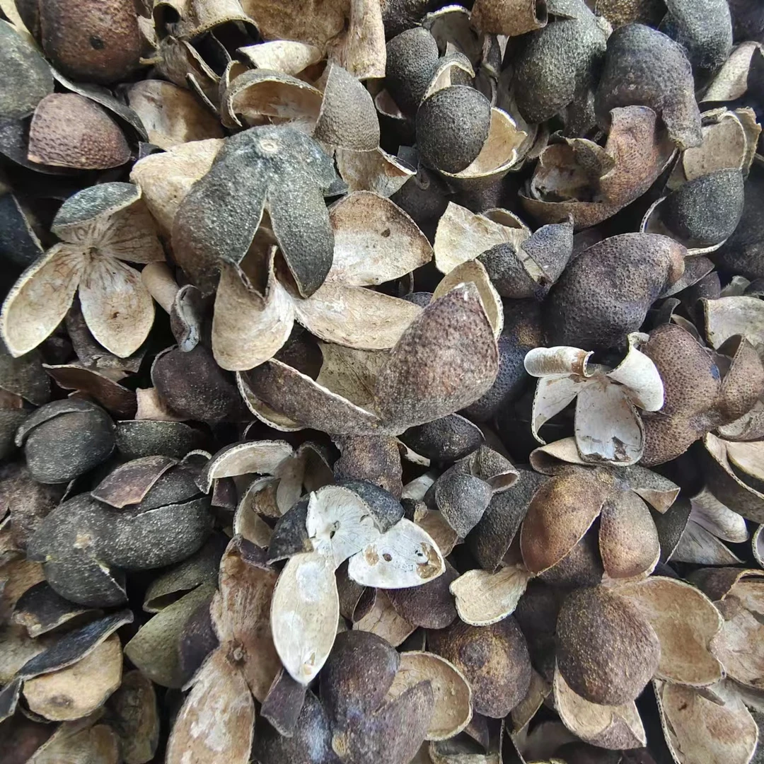 【阿强陈皮】东甲牛比围瓮四花青断皮 东26陈 250g 拍一发六