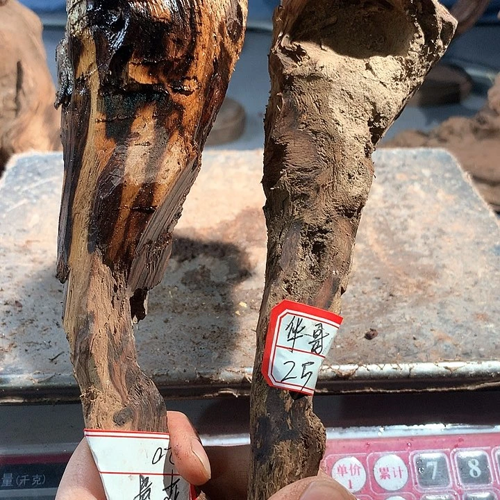 黄花梨/降香黄檀华*爷原料直发