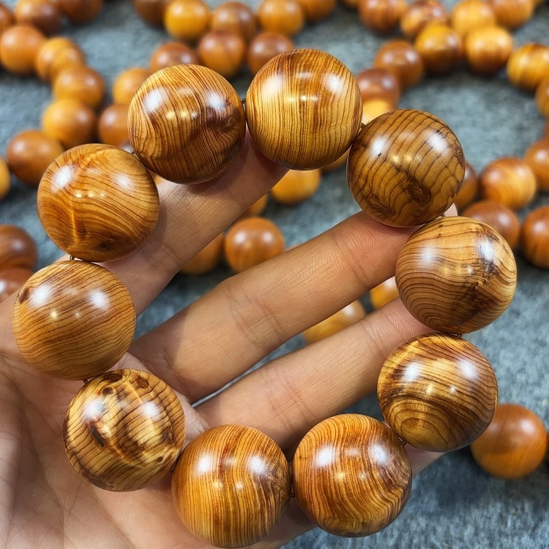 崖柏太行崖壁凤尾闪电2.5