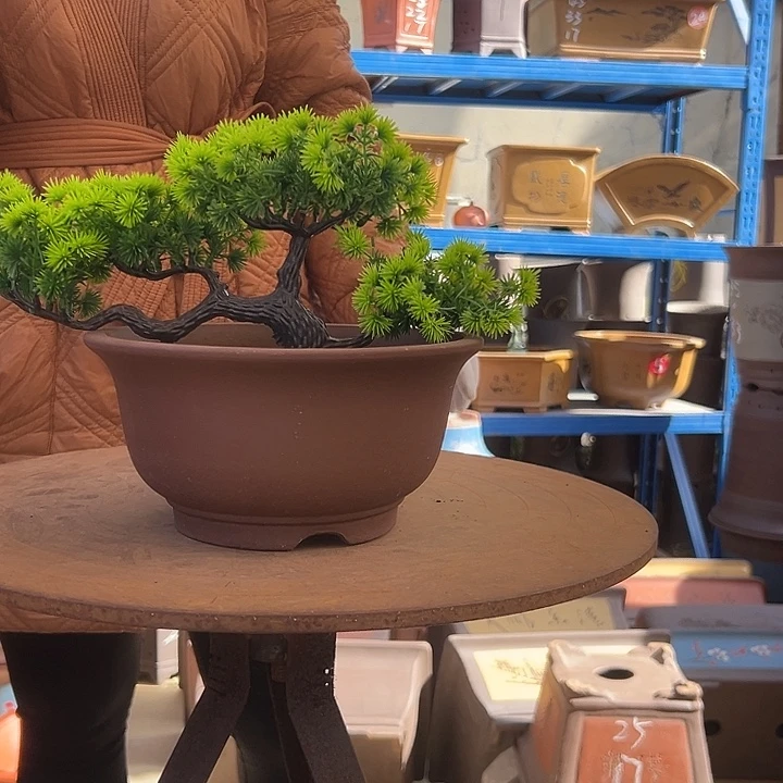 21茶林小碗花盆花盆