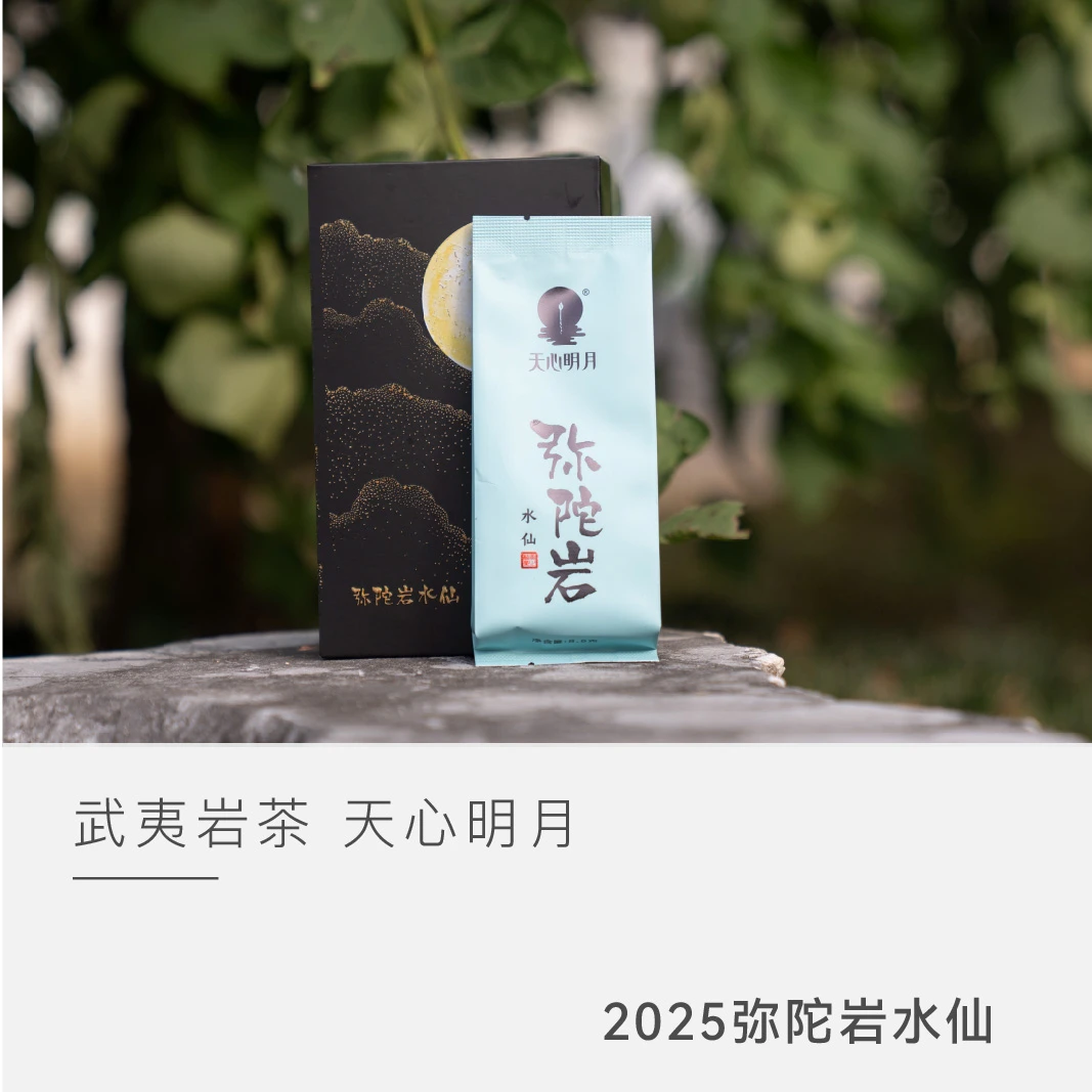 【云人访甄选】天心明月 弥陀岩水仙 武夷岩茶 茶叶乌龙茶 2025年