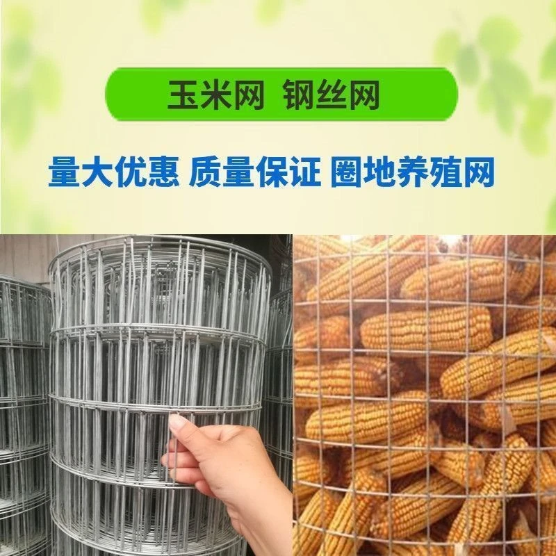 镀锌电焊铁丝网围栏用于圈玉米养鸡养殖防护网