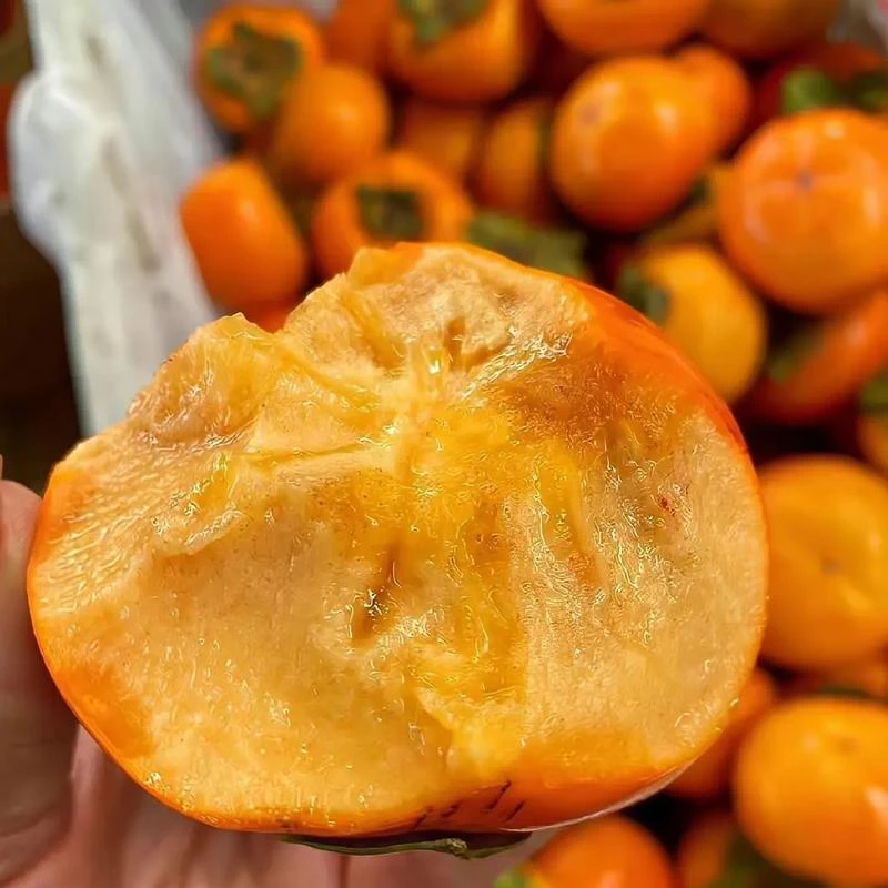 巧克力脆甜柿子新鲜当季水果脆甜多汁整箱包邮
