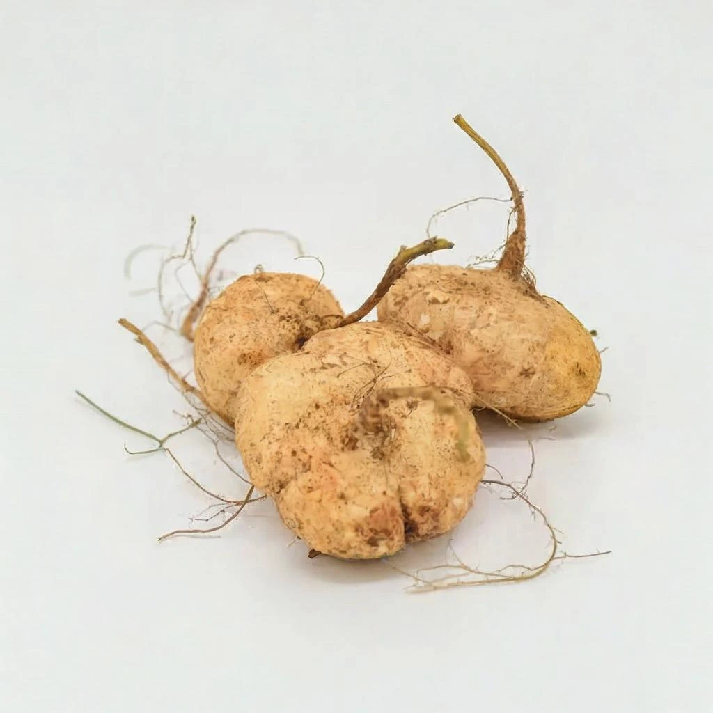 土瓜5.9/kg（1000-1500g）