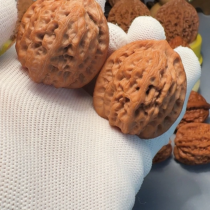 核桃精品40尺佛肚文玩