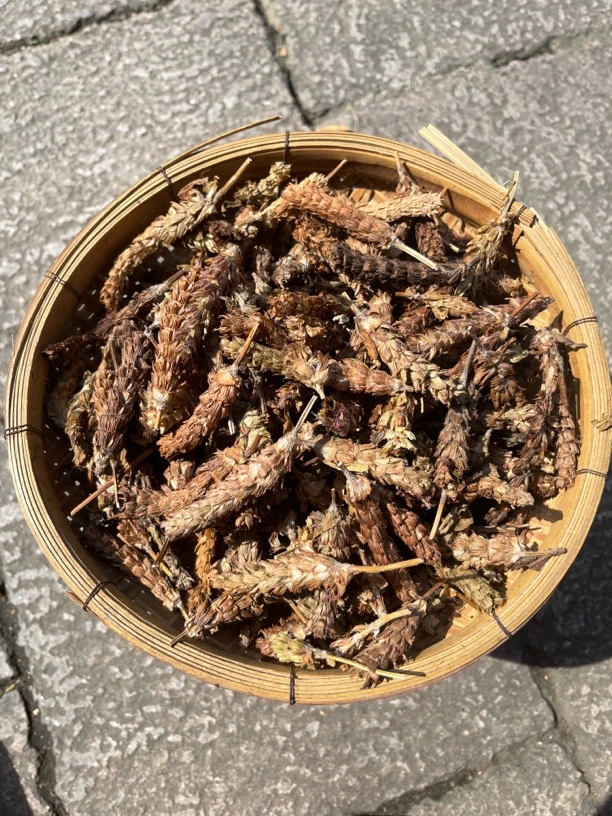 本地野生 夏枯草 干货轻称