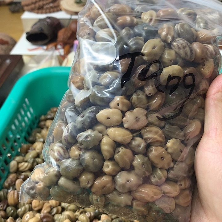 T***~吊坠千眼菩提龙脊一斤