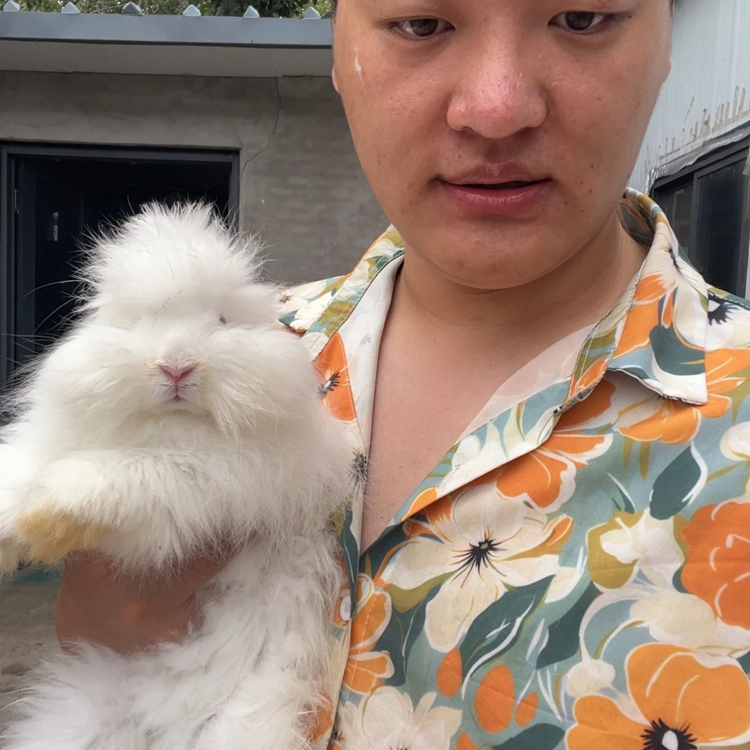 1111111111111宠物