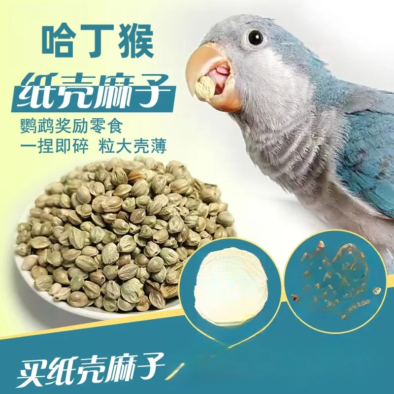 薄皮训练纸壳麻子玄凤牡丹小太阳和尚增肥奖励零食鹦鹉鸟鹦鹉食粮
