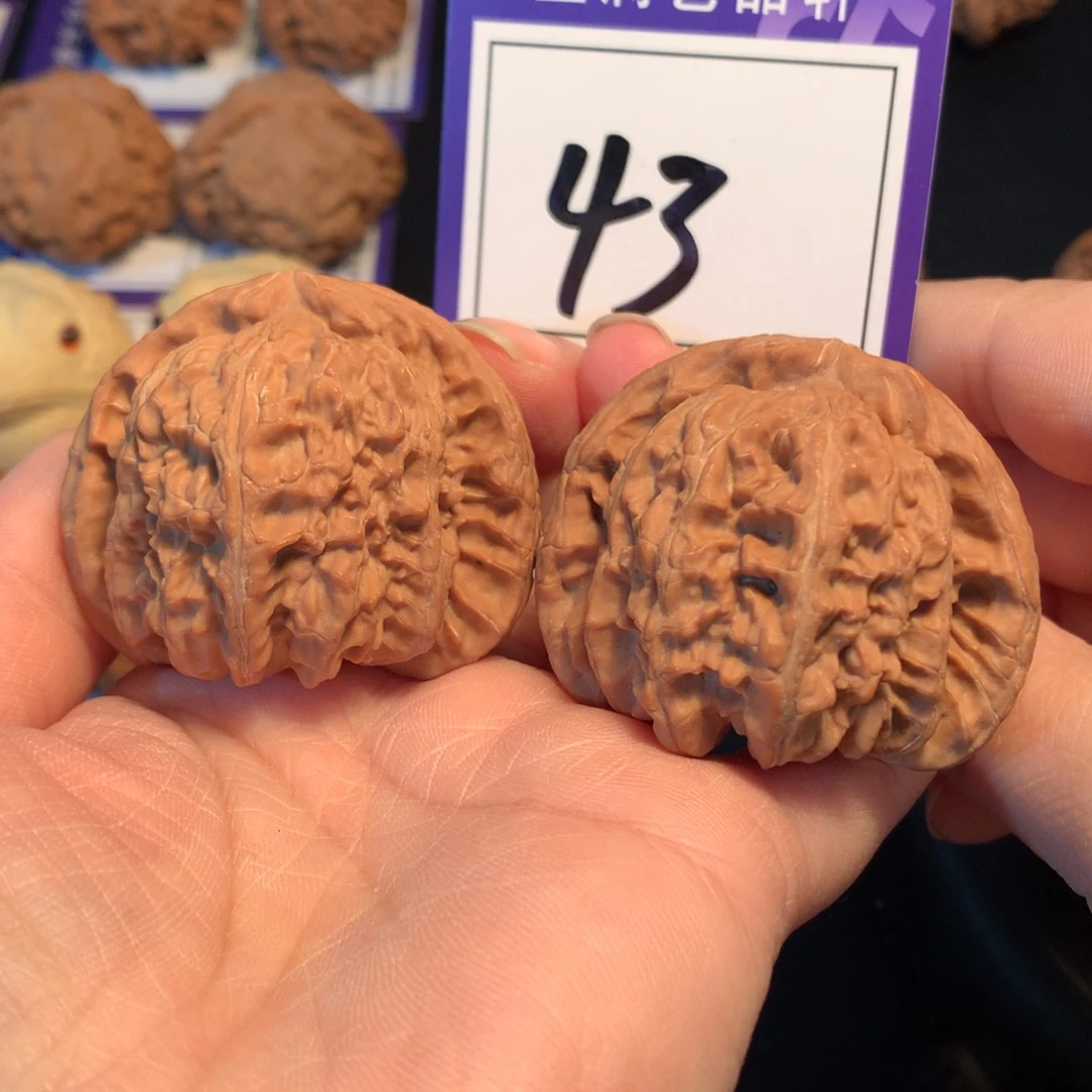 把件文玩核桃43白狮子4.6