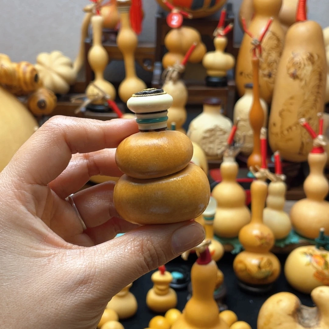 泽*大自然的秘密第十一节你要