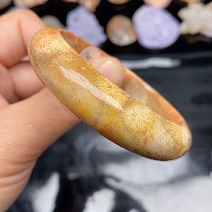 硅化珊瑚（珊瑚玉）手镯未镶嵌C****