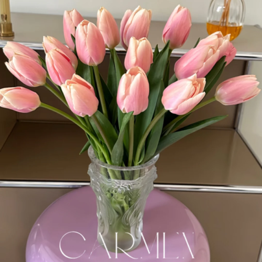 【杏色喜悦  郁金香】2单冷链/3单空运 家用鲜花/云南鲜花基地直发