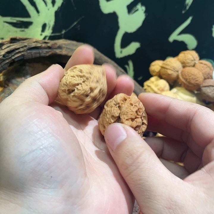 夜***多文玩核桃把件云铁21