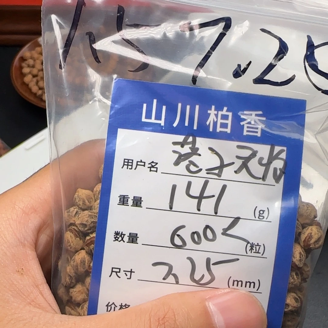 落****柏香籽/百香籽吊坠