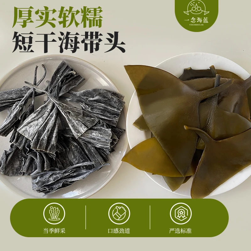 霞浦日晒短干海带头厚实软糯无泥无沙