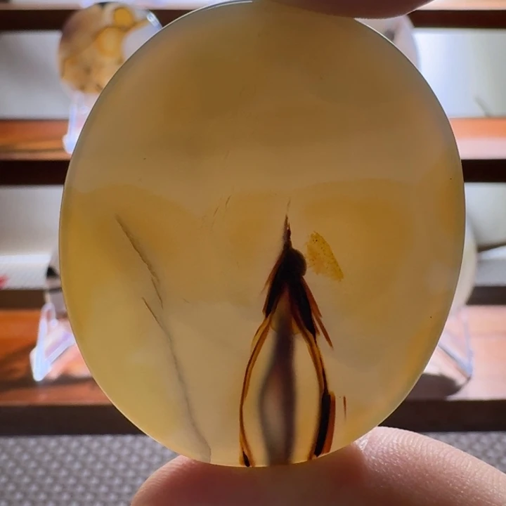 玛瑙/玉髓合金颈饰