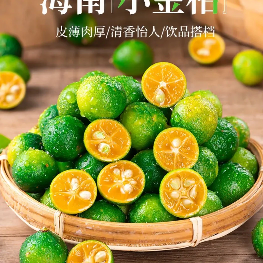 海南金桔奶茶饮料专用（自家果园）