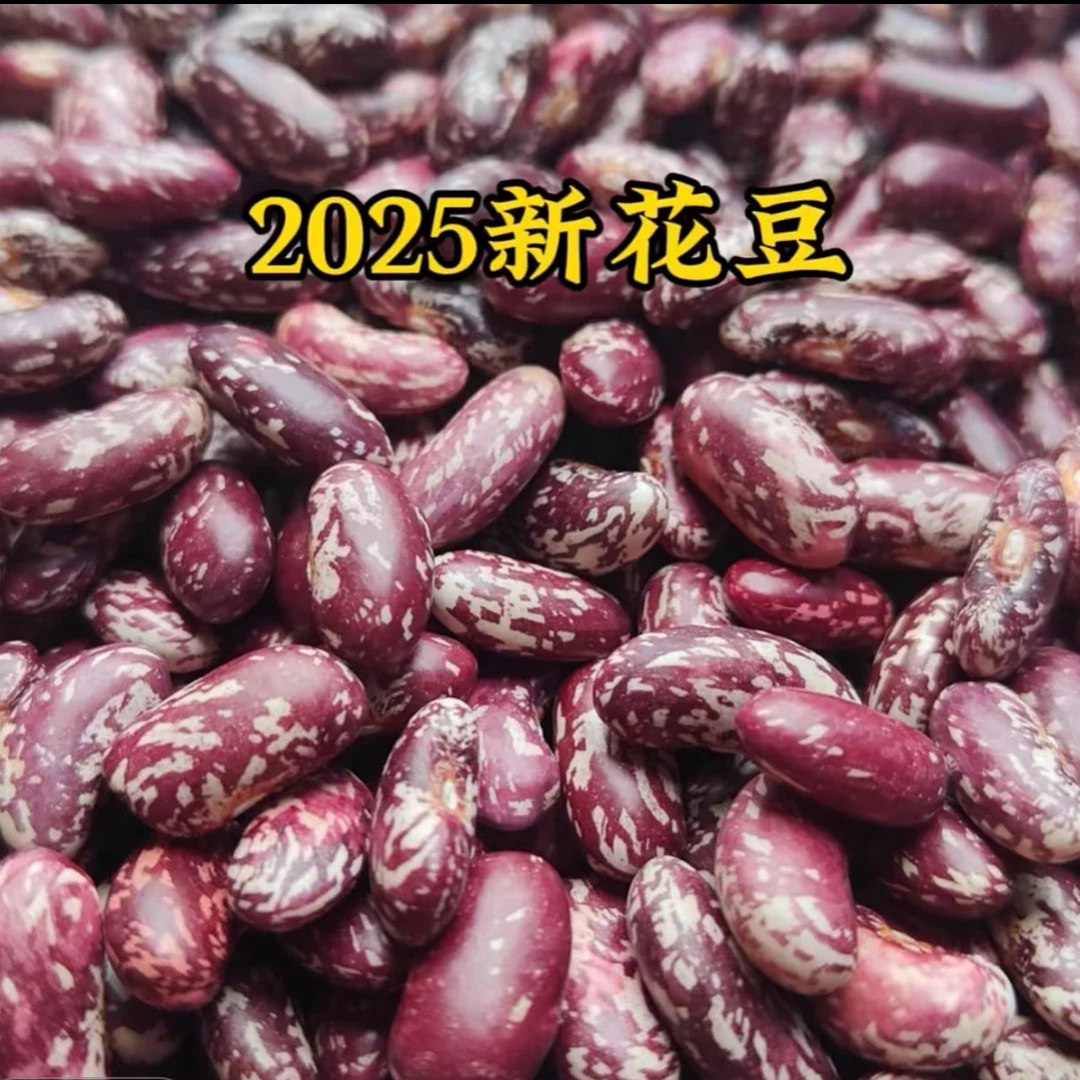 贵州本地自家种花豆2025年新鲜花红豆