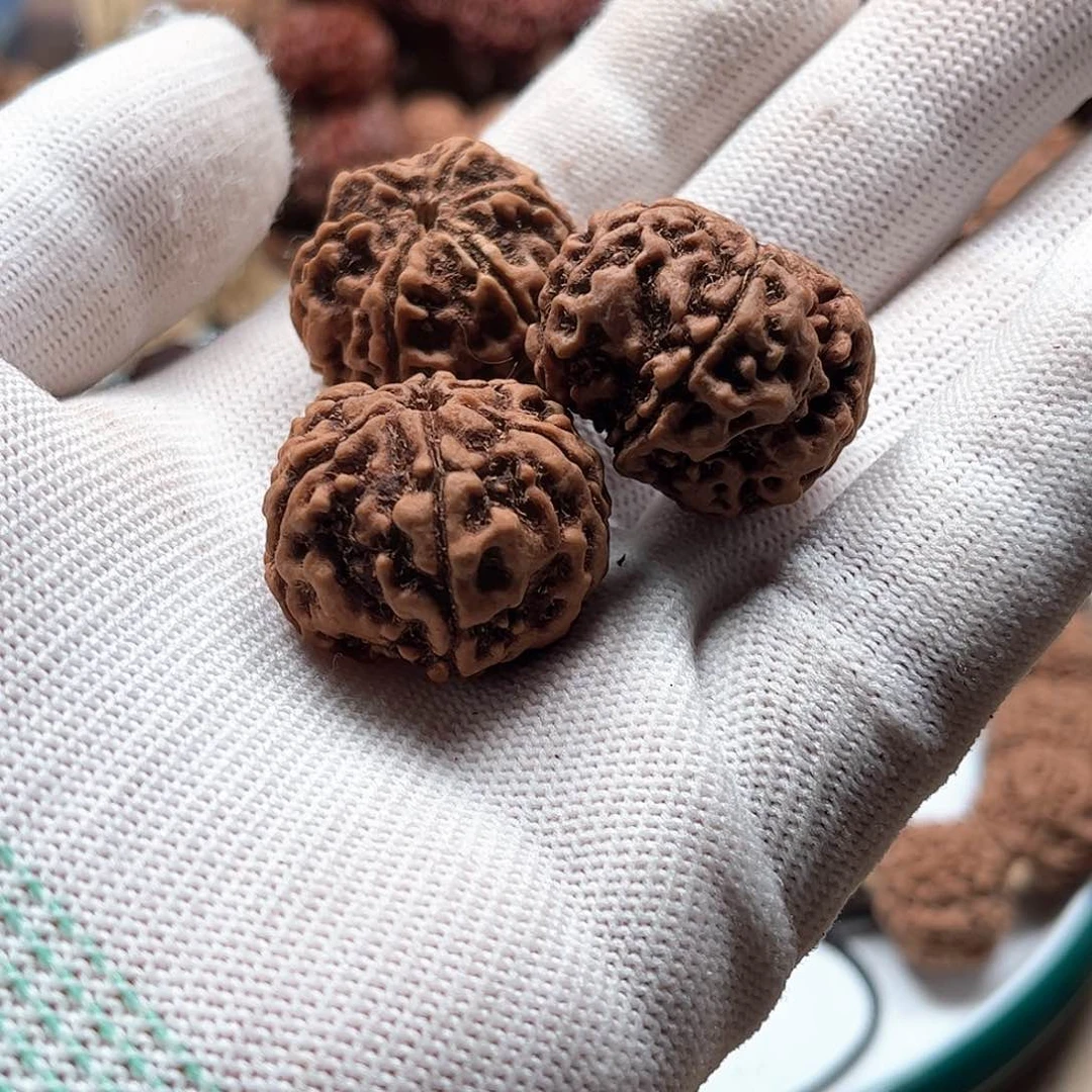 金刚菩提手串马*27的三颗单籽