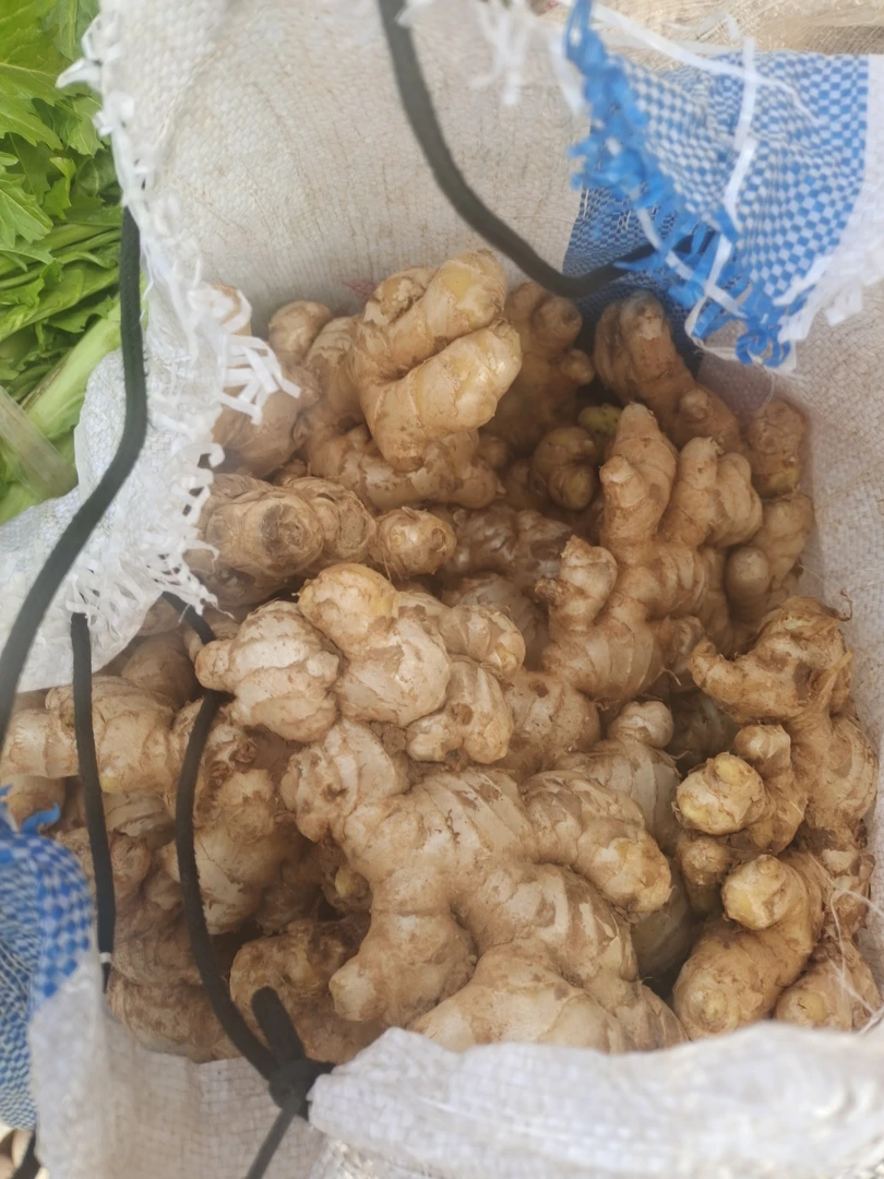 云南昭通本地小黄姜