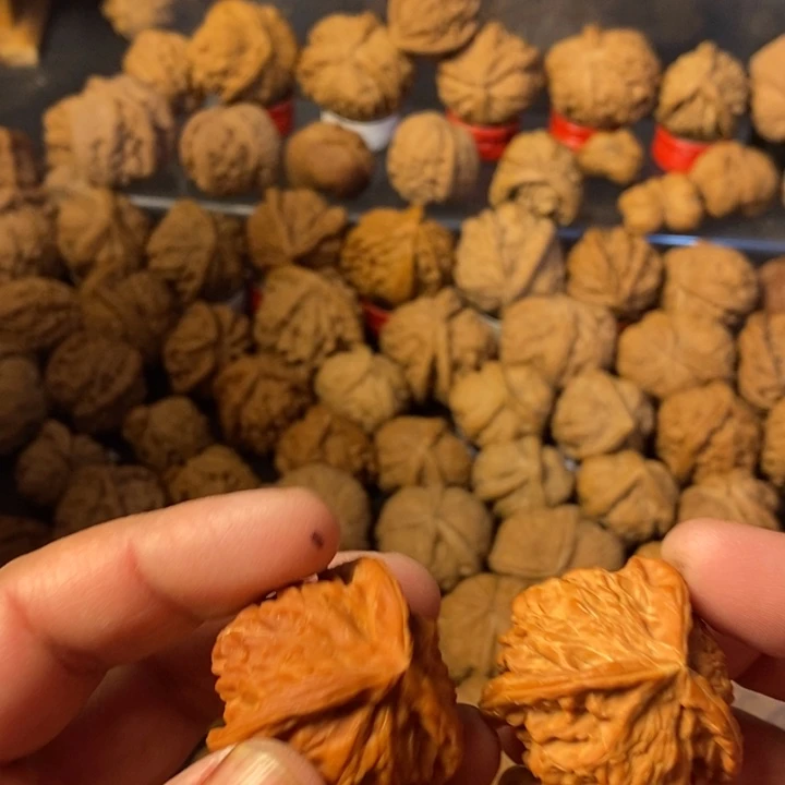用***5大叶紫檀（黑酸枝木类）