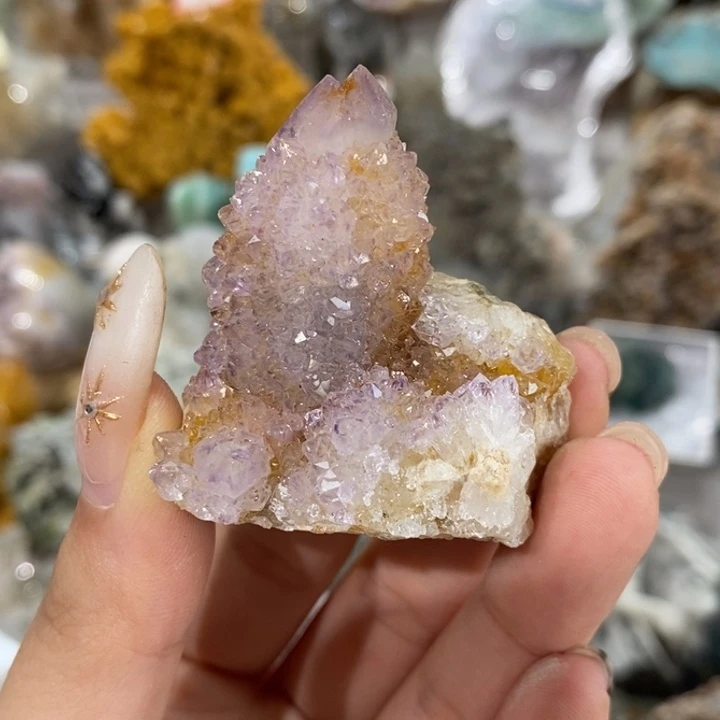 石材精神水仙人掌小火箭