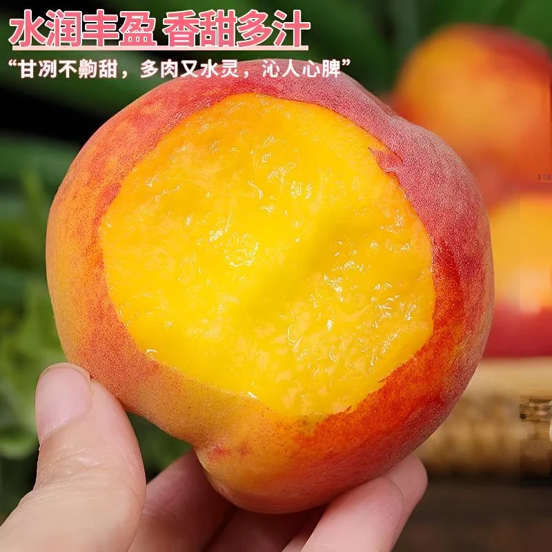 《现摘现发》头茬湖北彩虹黄桃脆甜大桃子应季露天新鲜水果黄金蜜