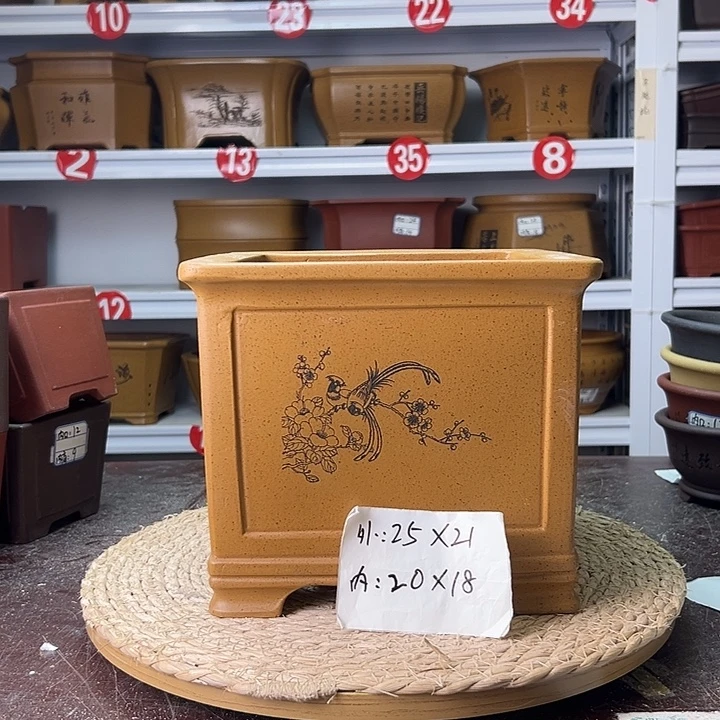紫砂花盆蛇年大吉