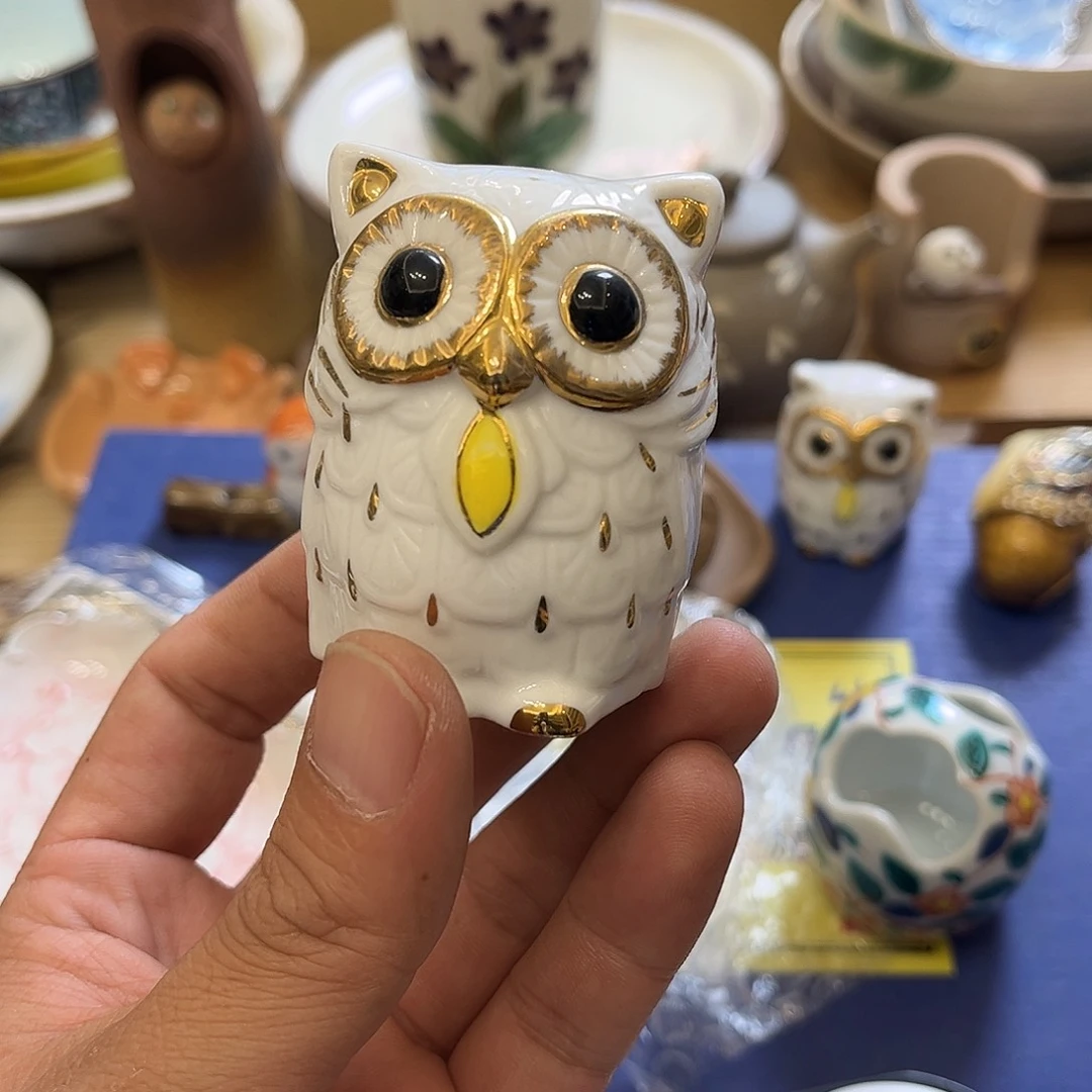 盖碗在家门口看到有条不太