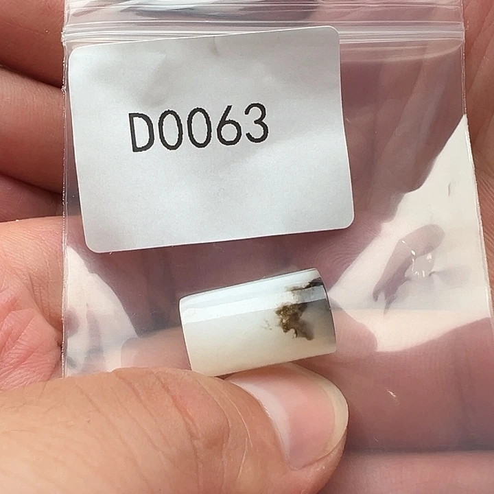 手串菩提根/象牙果