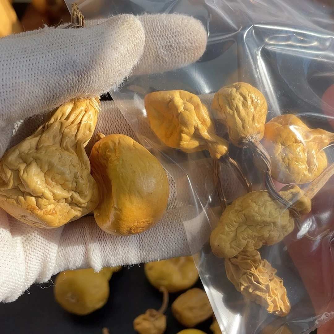 ❥***.文玩葫芦精品葫芦