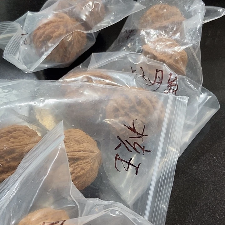 吊坠文玩核桃一单5对19