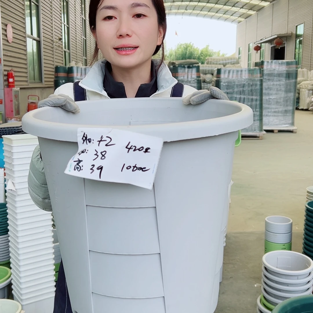 玫瑰盆420#灰白4个无托