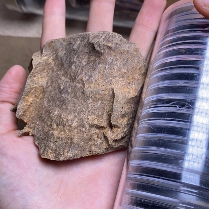 海南。          10克