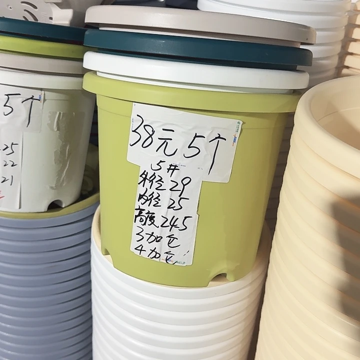 四季5#果绿5个无托口径29