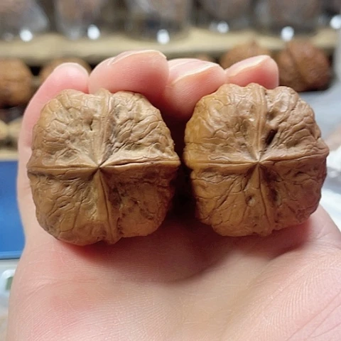 文玩核桃把件血麒麟带彩34+