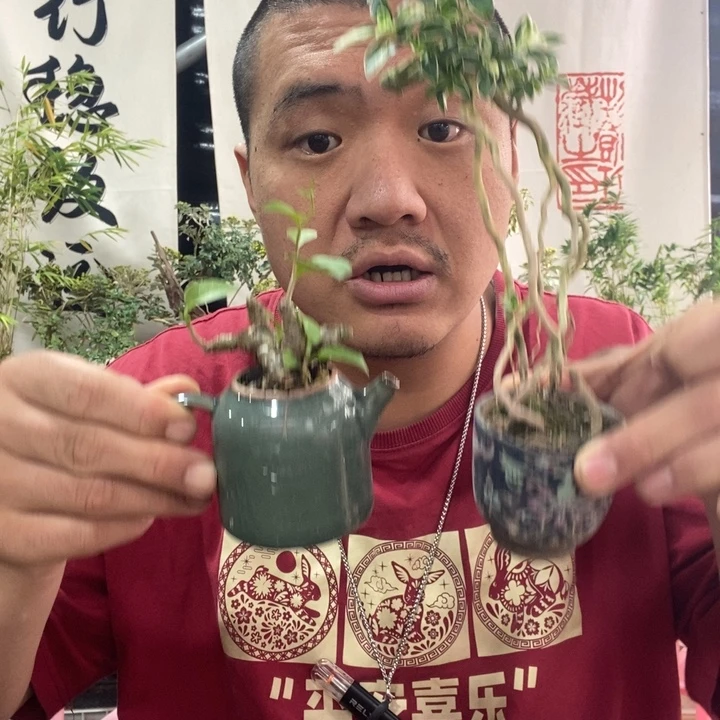 无花朵退款拉黑拉黑113