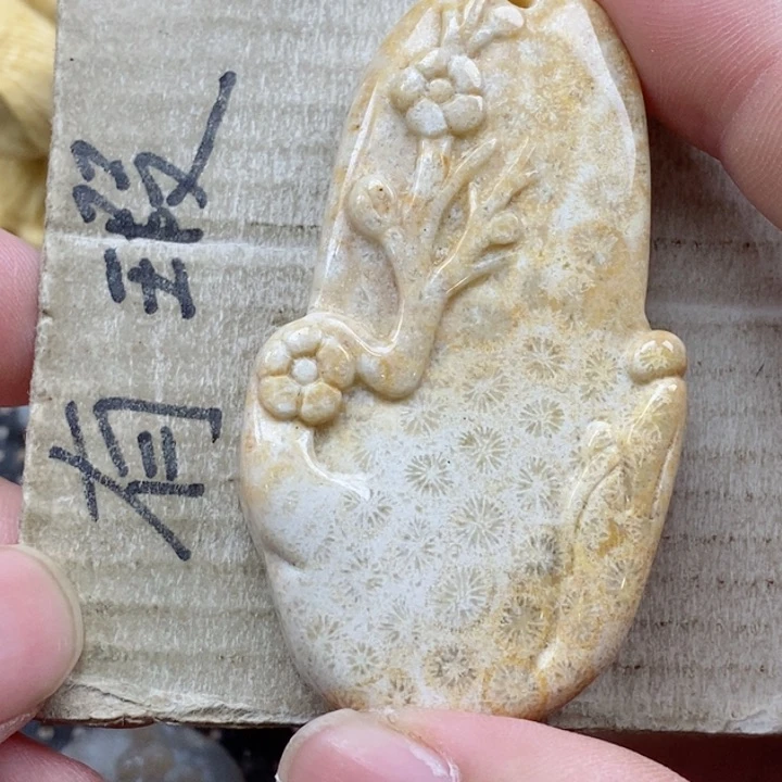 颈饰未镶嵌硅化珊瑚（珊瑚玉）A****y