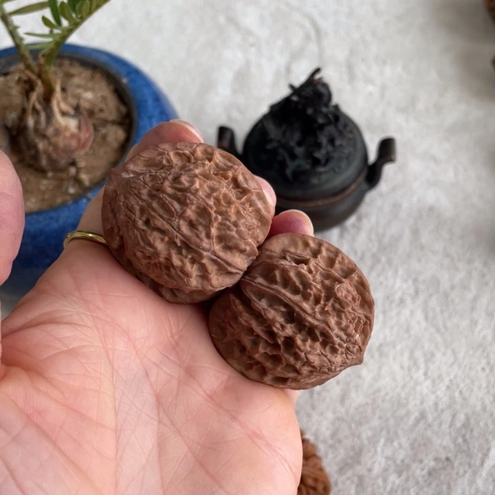 木@***浪秦岭老王核桃