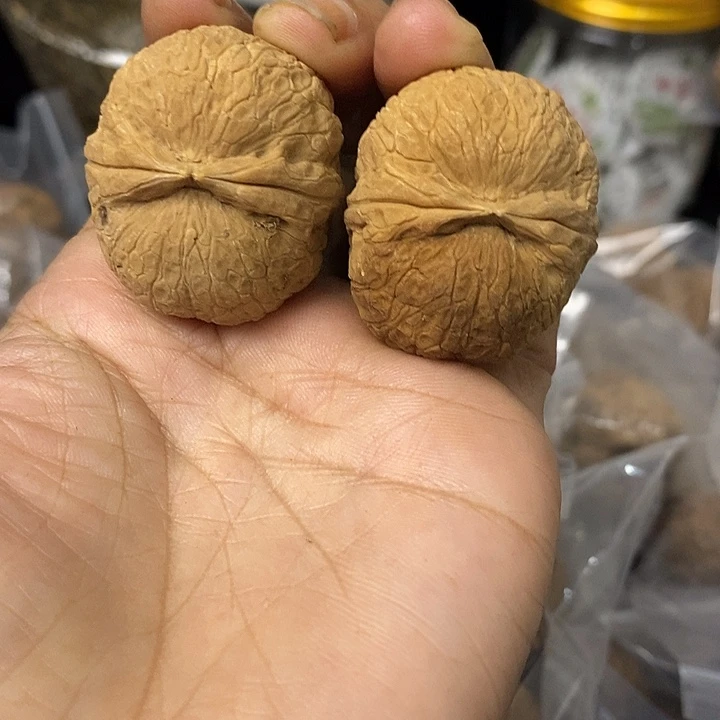 核桃云南铁核桃基地88